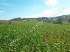 Fazenda em serrania - minas gerais